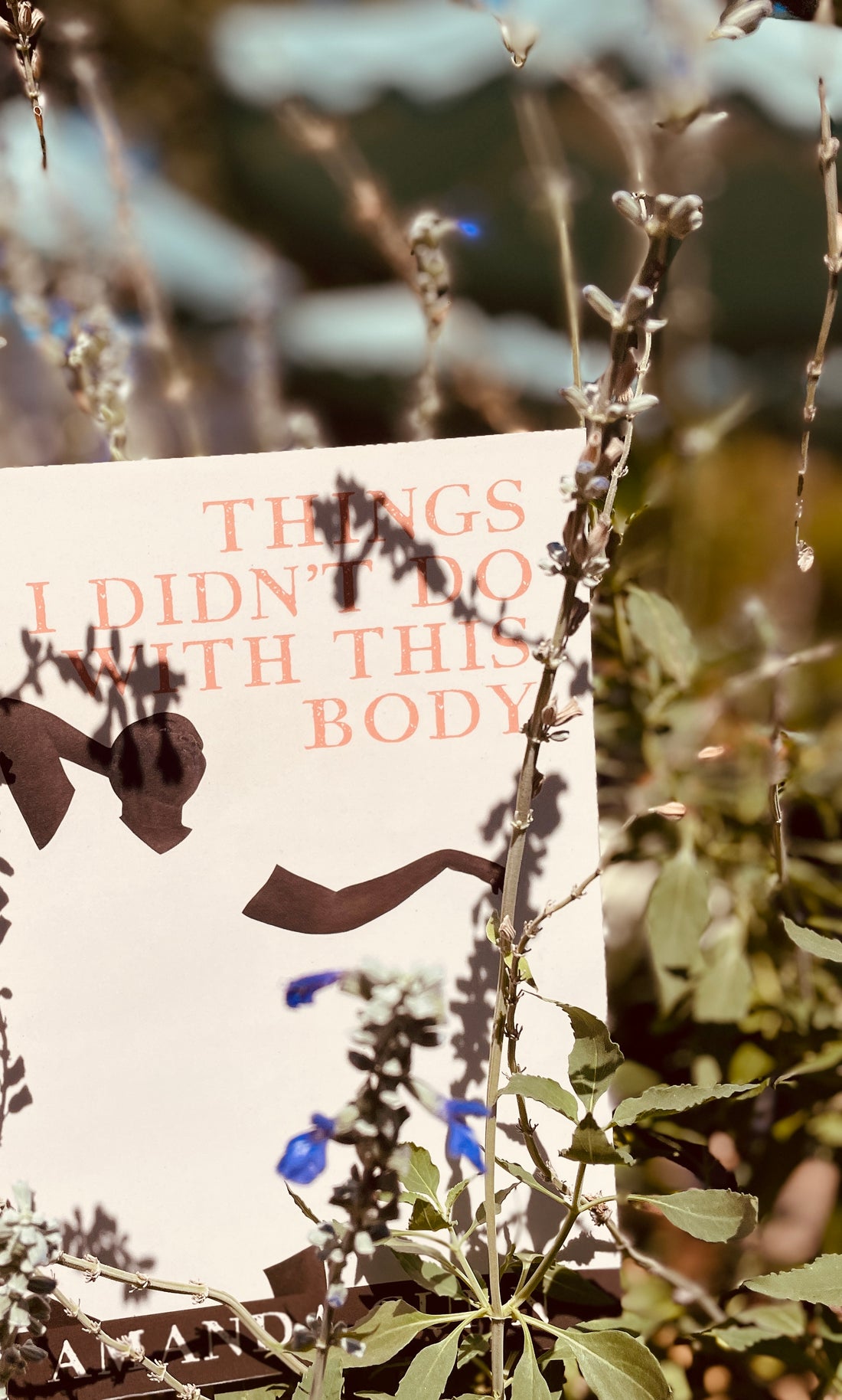 Part II: The Admirable Experience of Things I Didn't Do With This Body