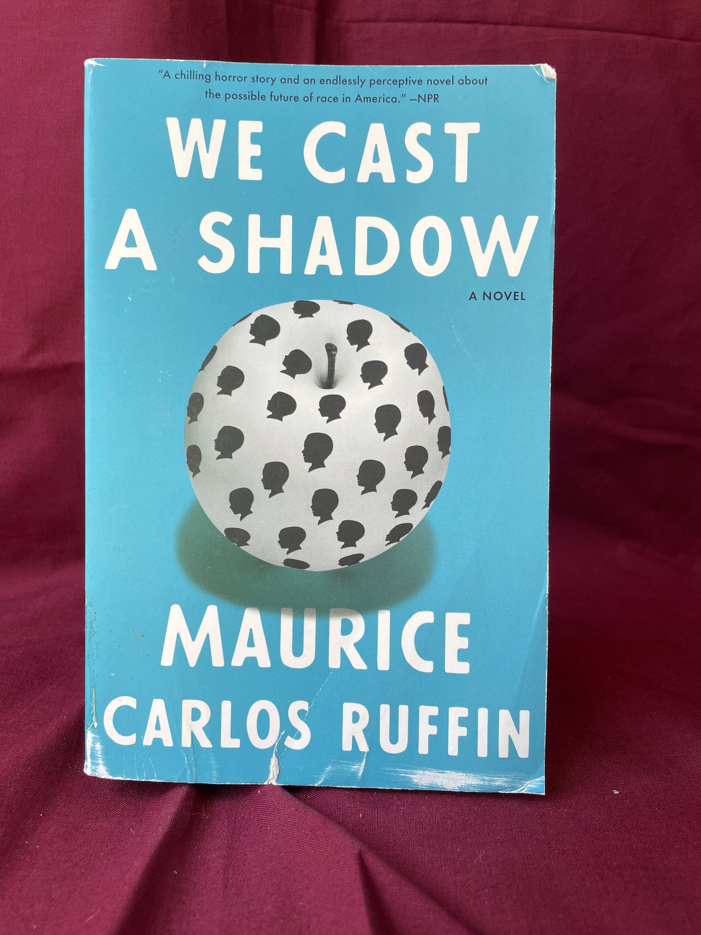 We Cast A Shadow (Paperback)