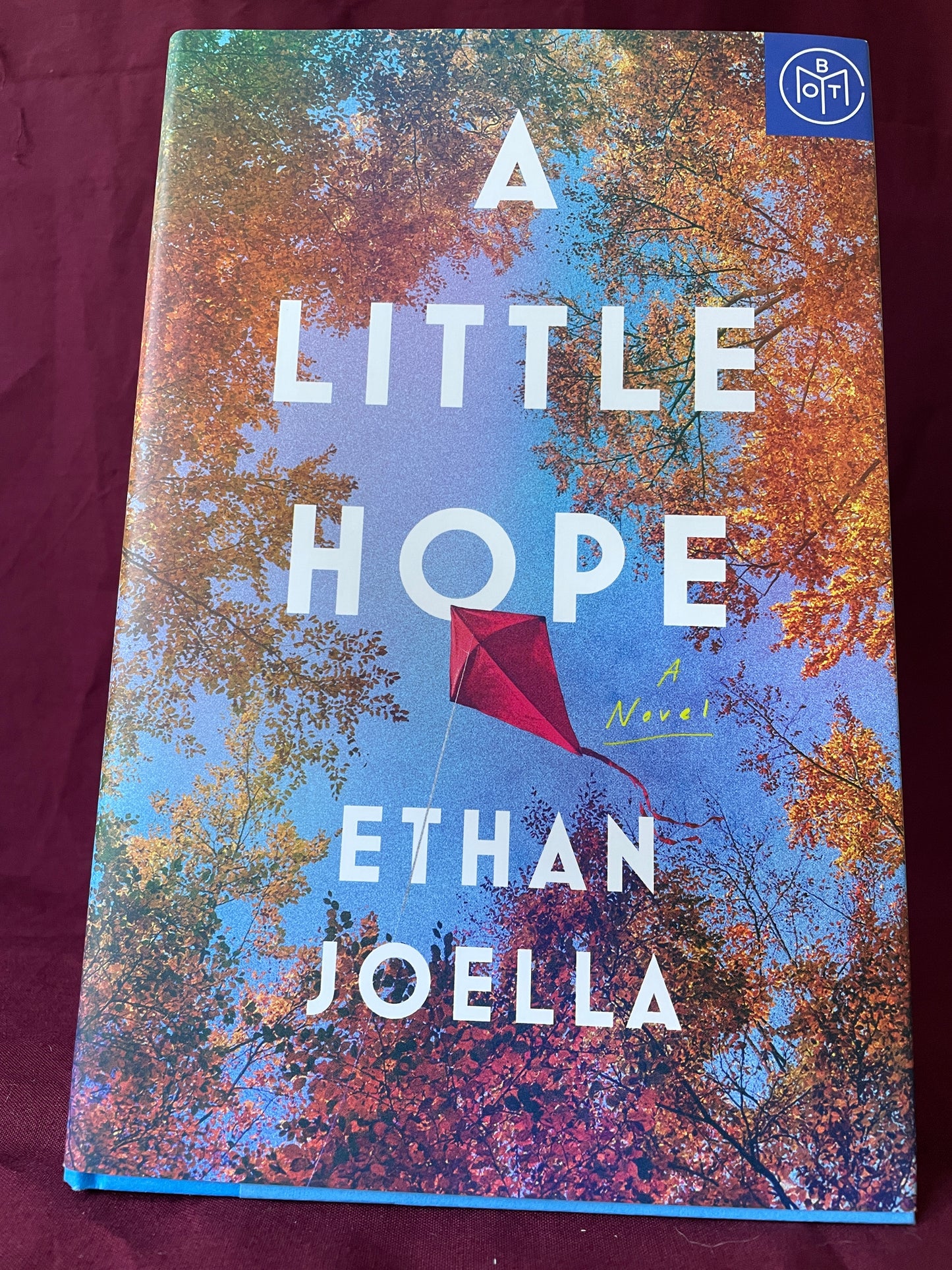 A Little Hope (Hardcover)
