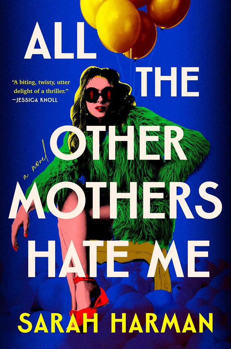 All the Other Mothers Hate Me (Hardcover)