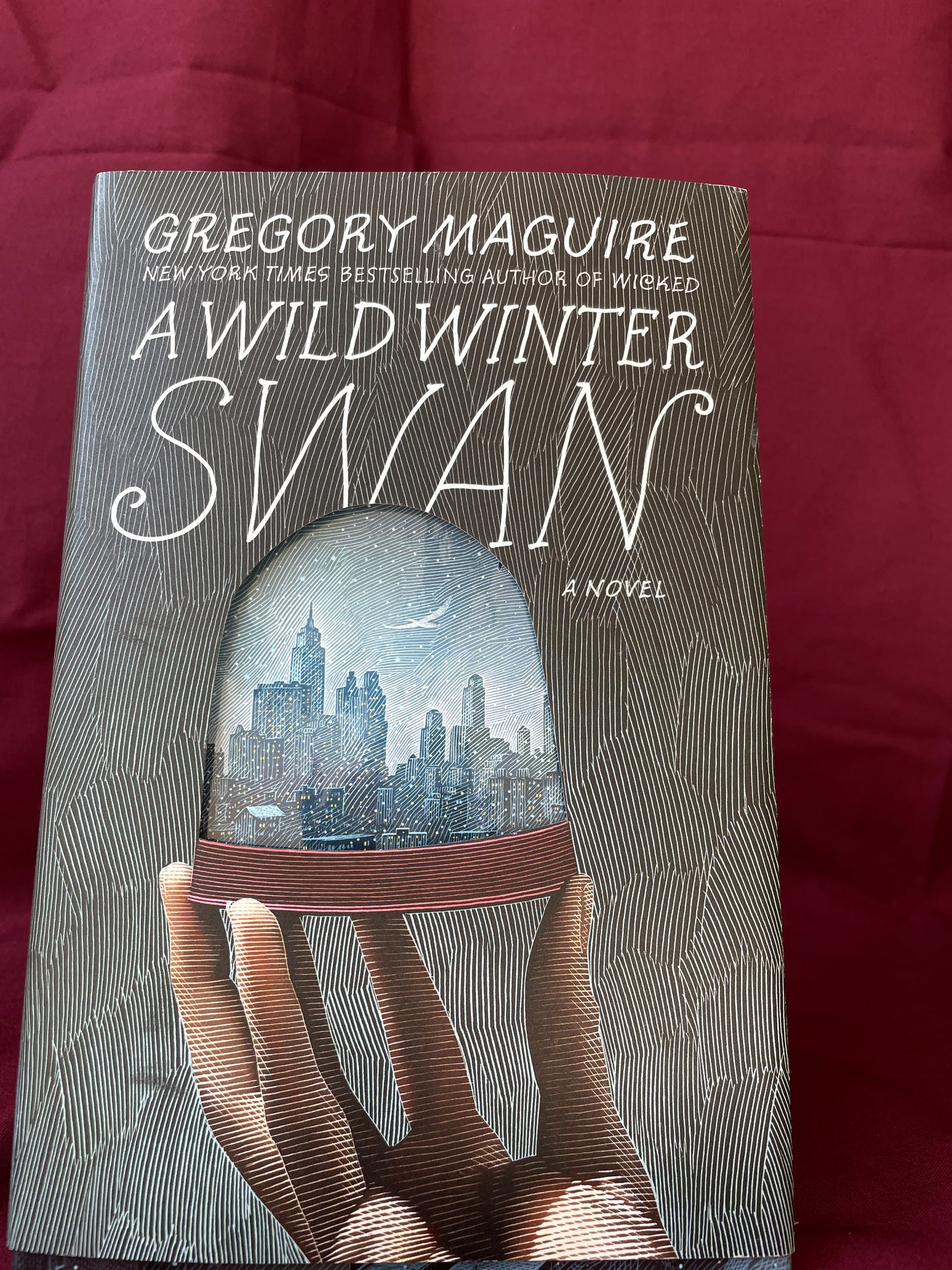 A Wild Winter Swan (Hardcover)