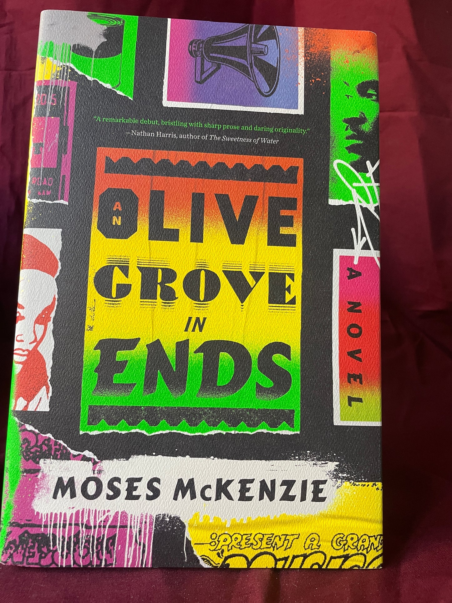 An Olive Grove in Ends (Hardcover)