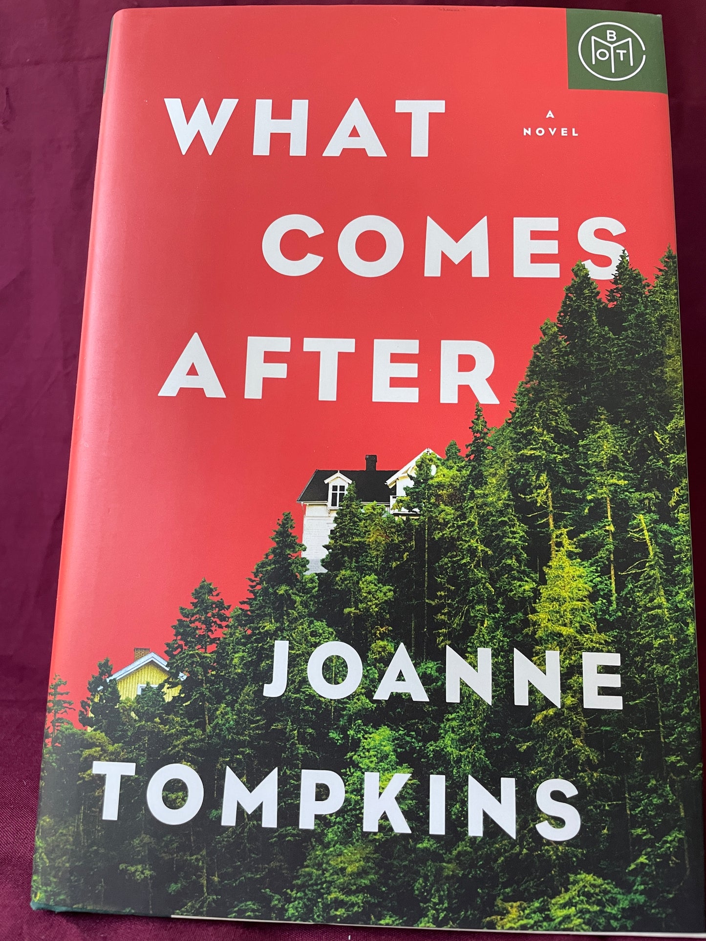 What Comes After (Hardcover)