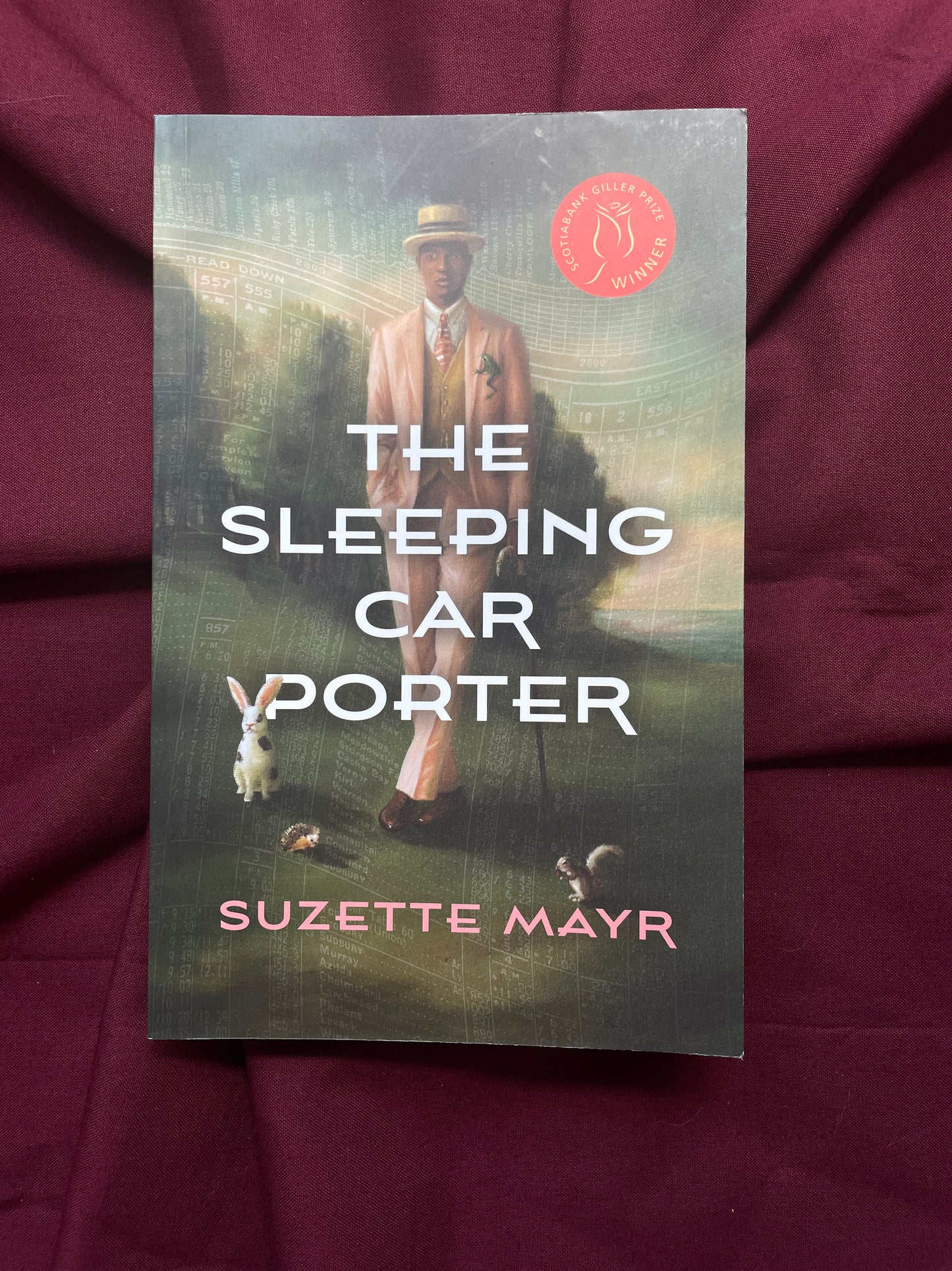 The Sleeping Car Porter (Paperback)