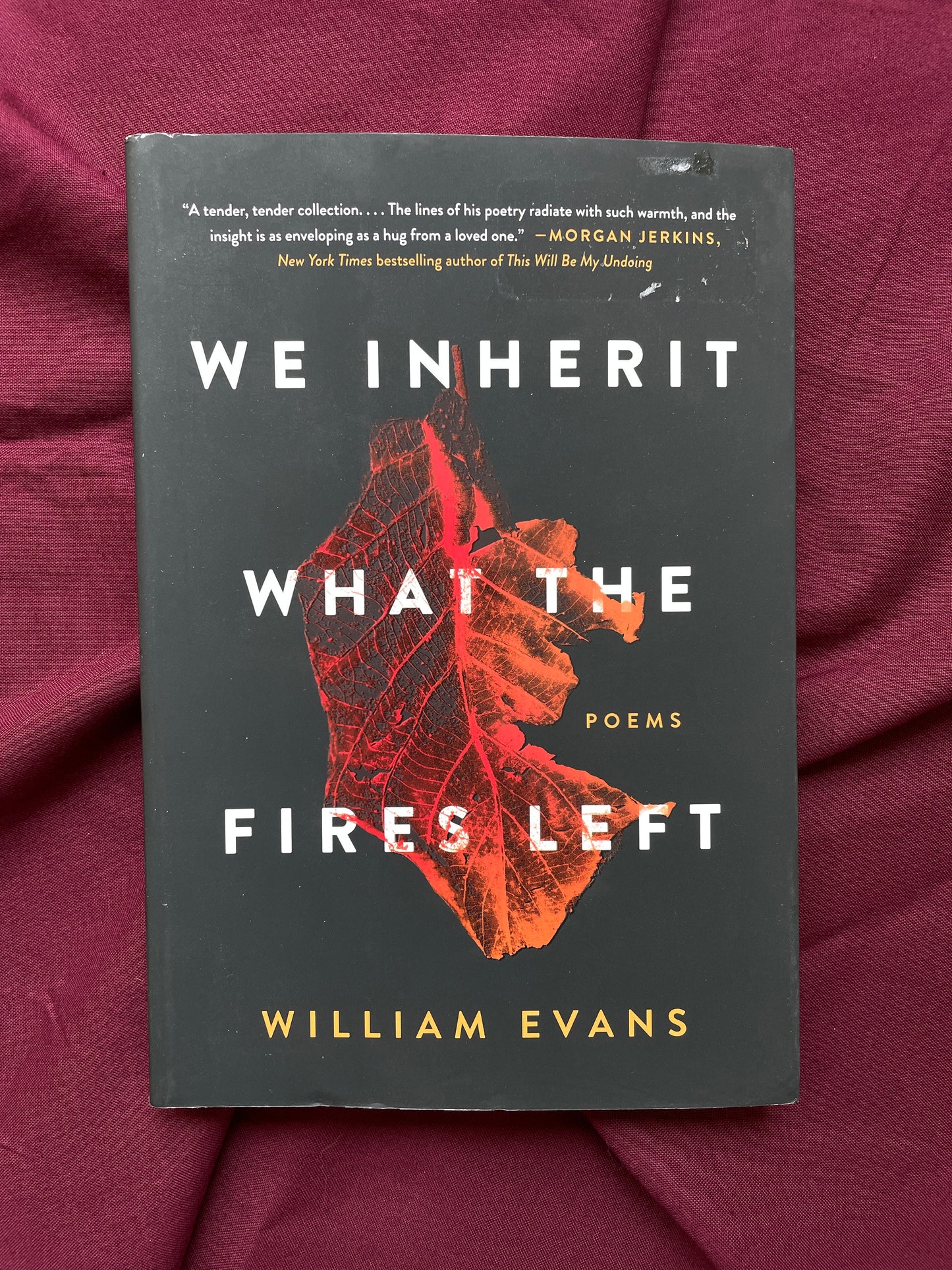 We Inherit What the Fires Left: Poems (Paperback)