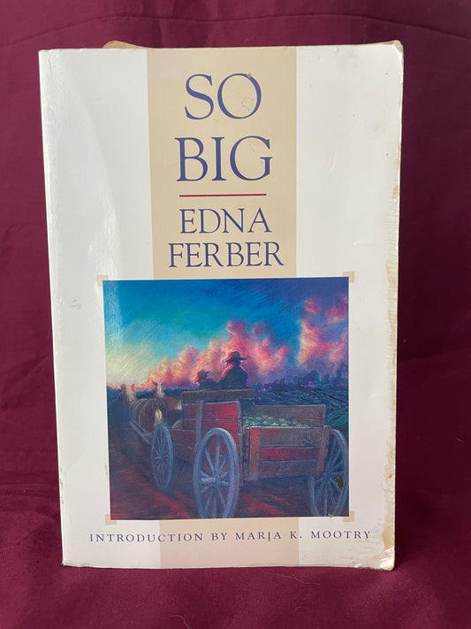 So Big (Paperback)