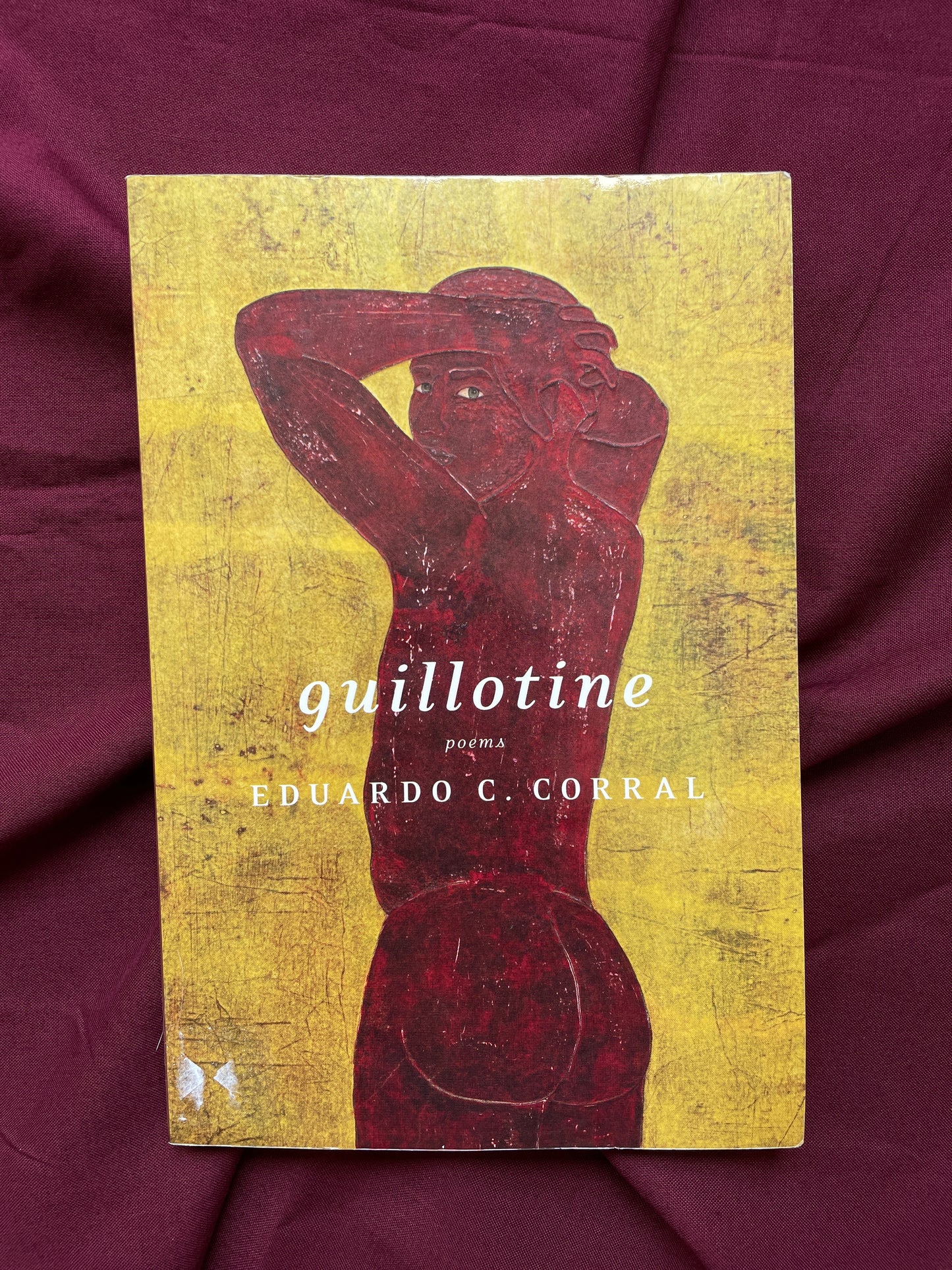 Guillotine: Poems (Paperback)