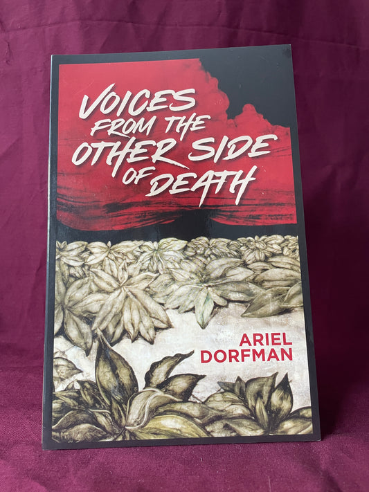 Voices From the Other Side of Death (Paperback)