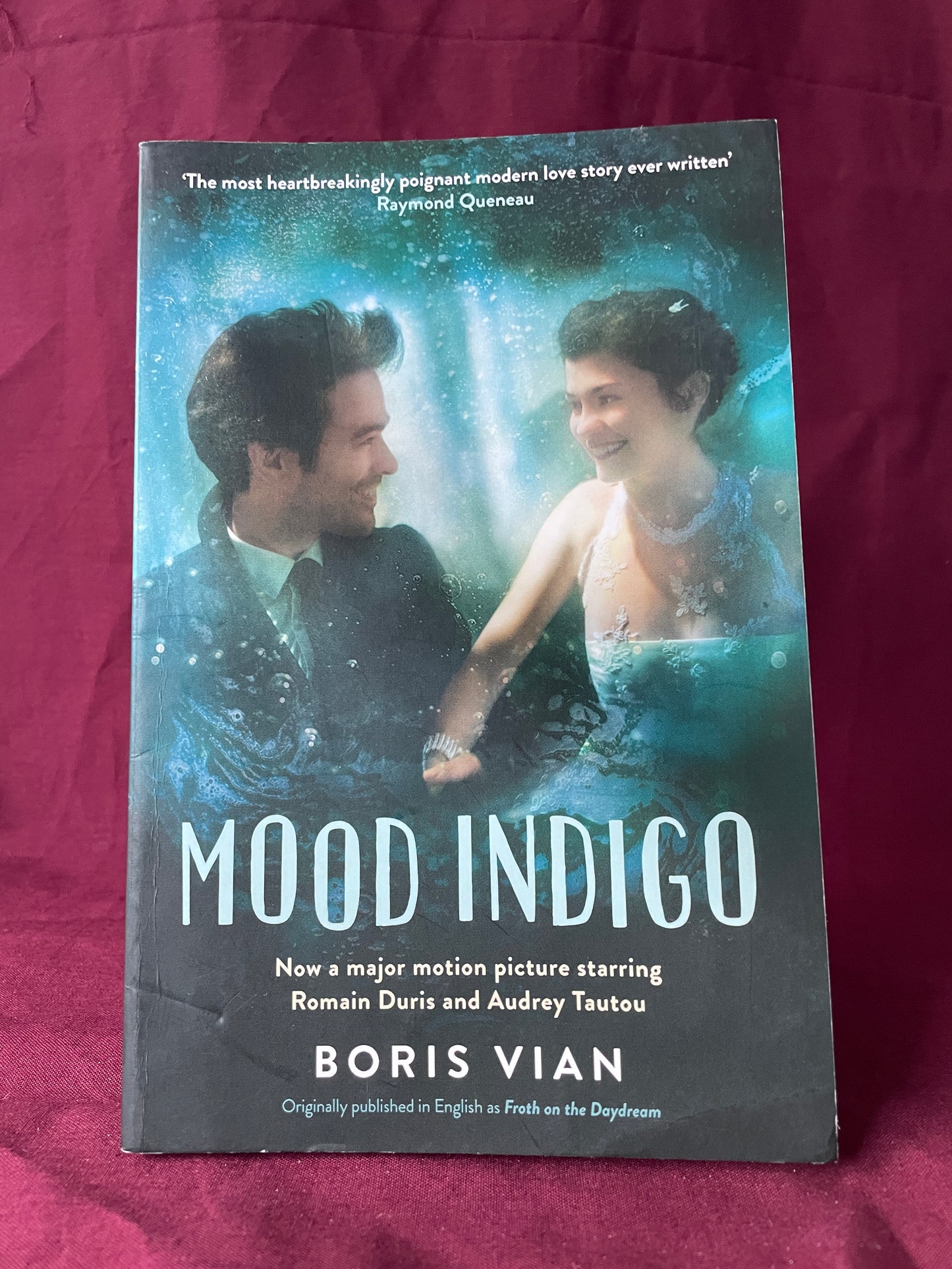 Mood Indigo (Paperback)