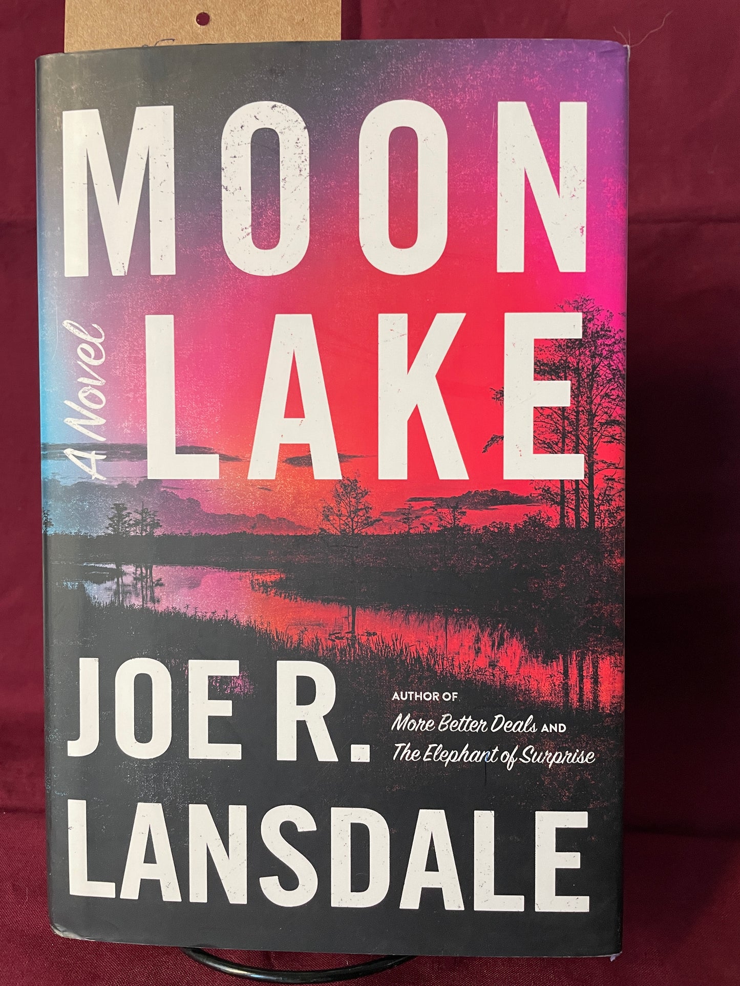 Moon Lake (Hardcover)