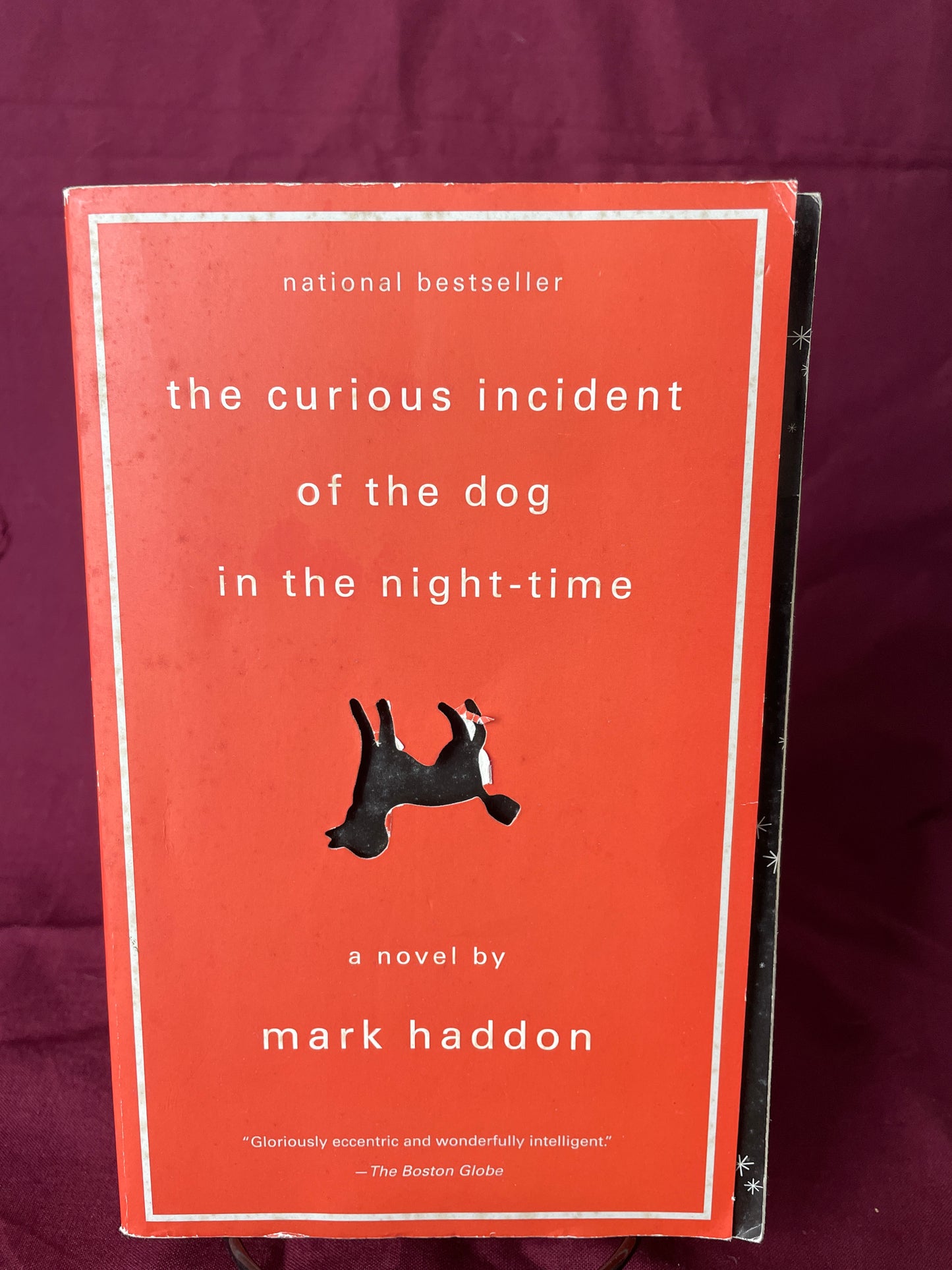 The Curious Incident of the Dog in the Night-Time (Paperback)