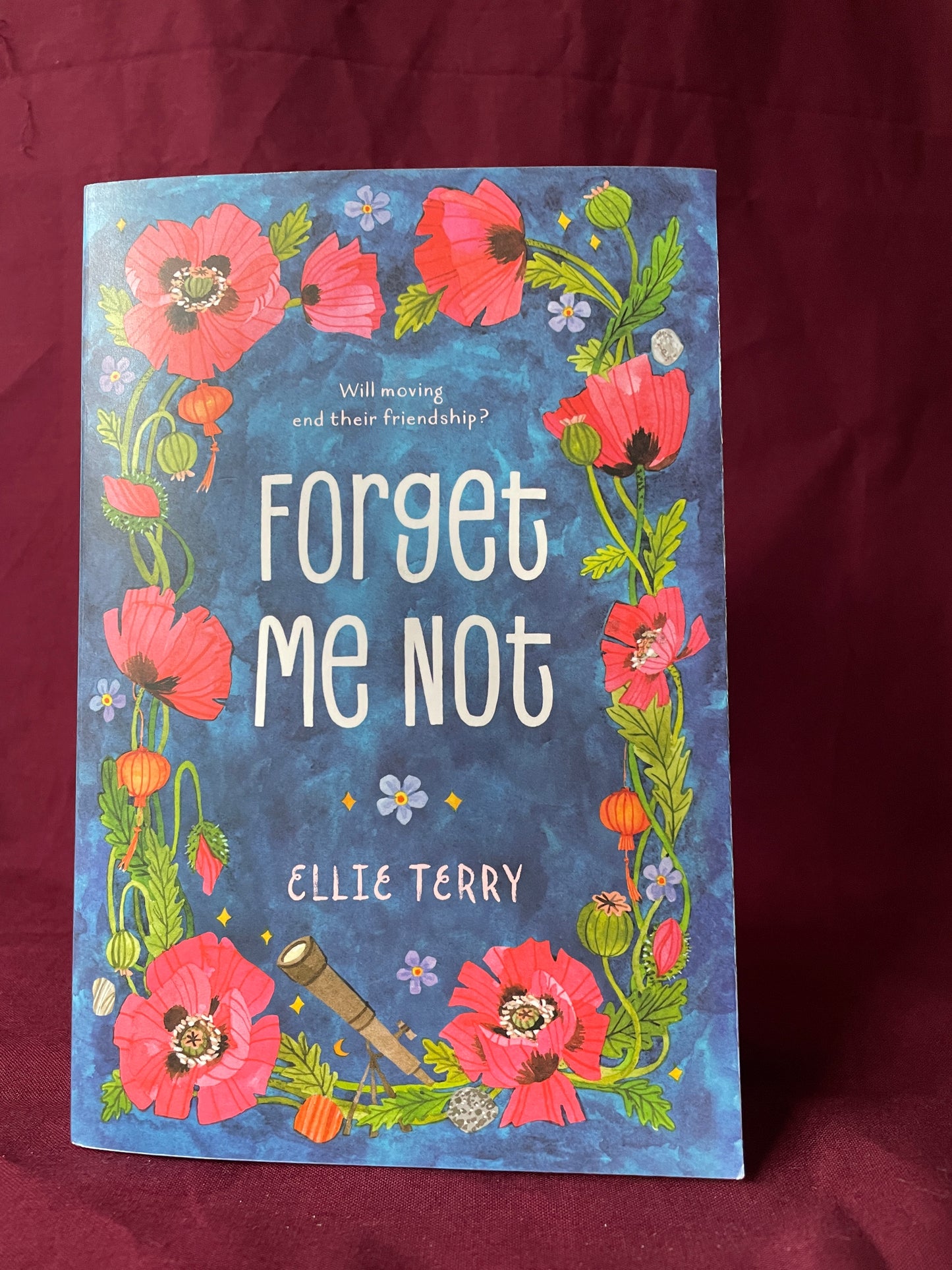 Forget Me Not (Paperback)