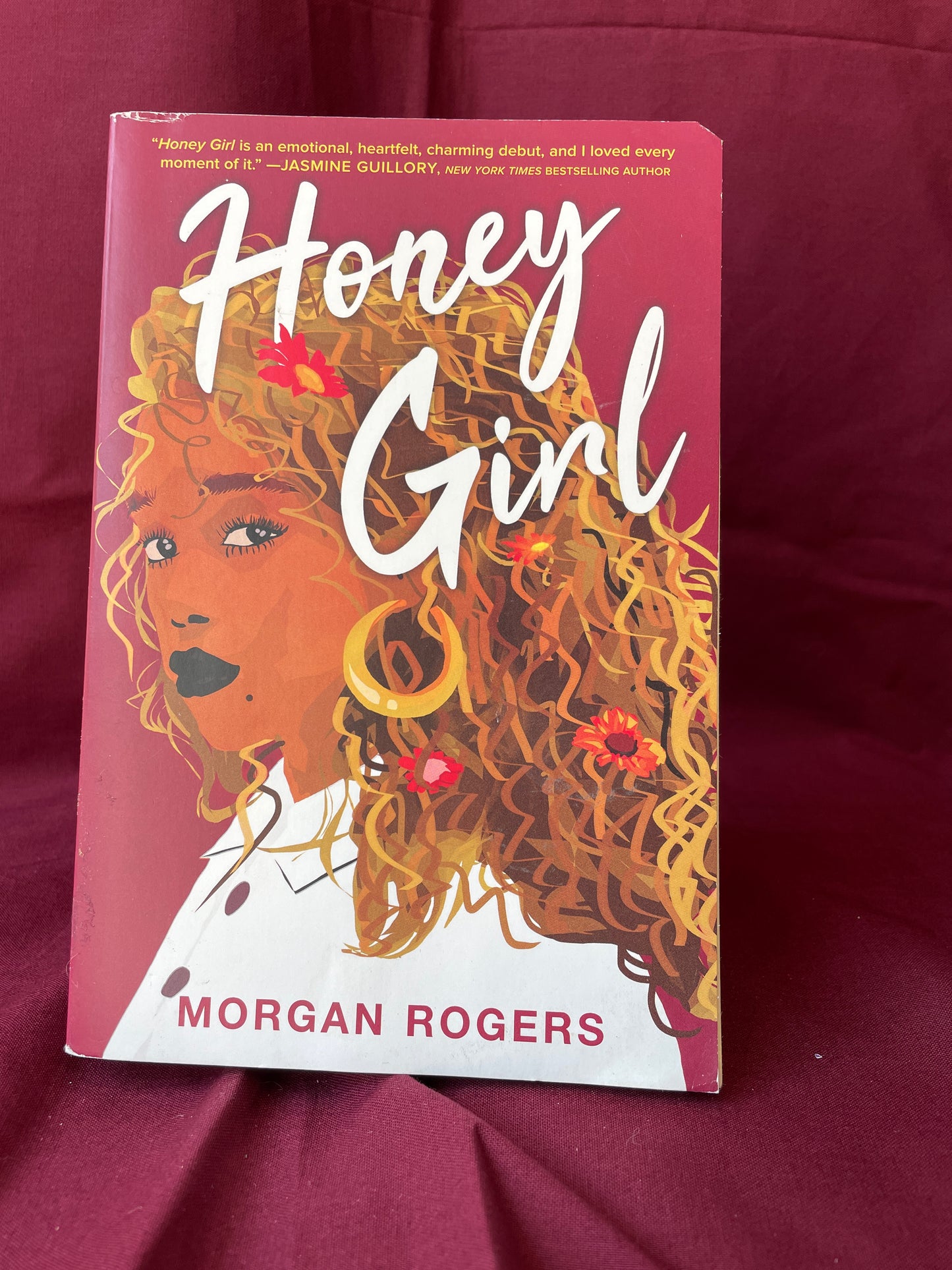 Honey Girl (Paperback)