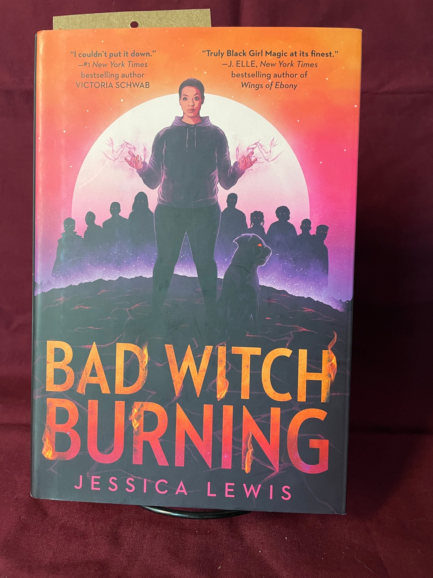 Bad Witch Burning (Hardcover)