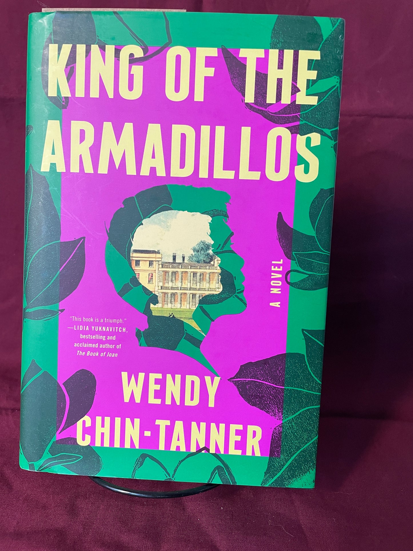 King of the Armadillos (Hardcover)