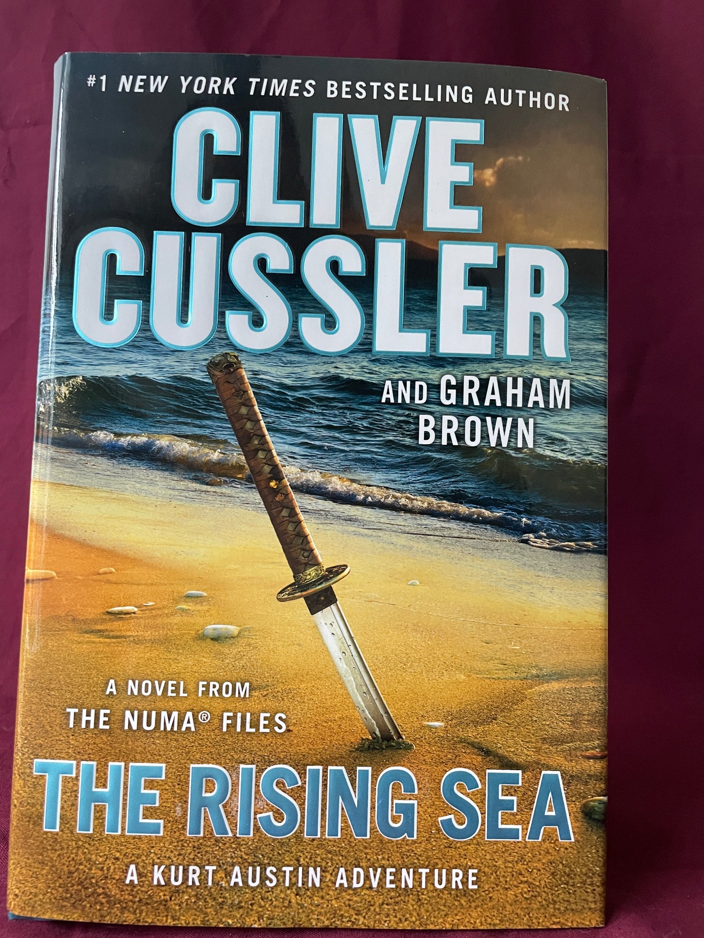 The Rising Sea (Hardcover)