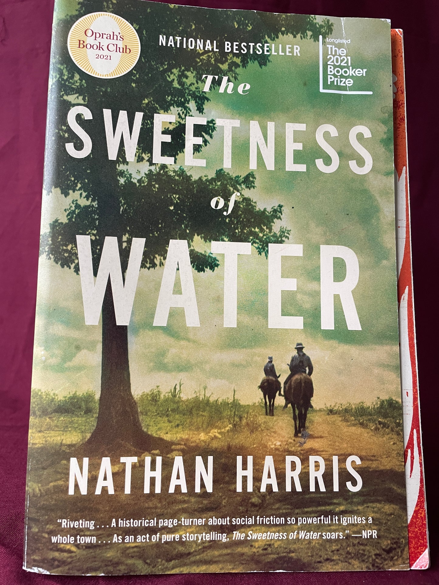 The Sweetness of Water (Paperback)