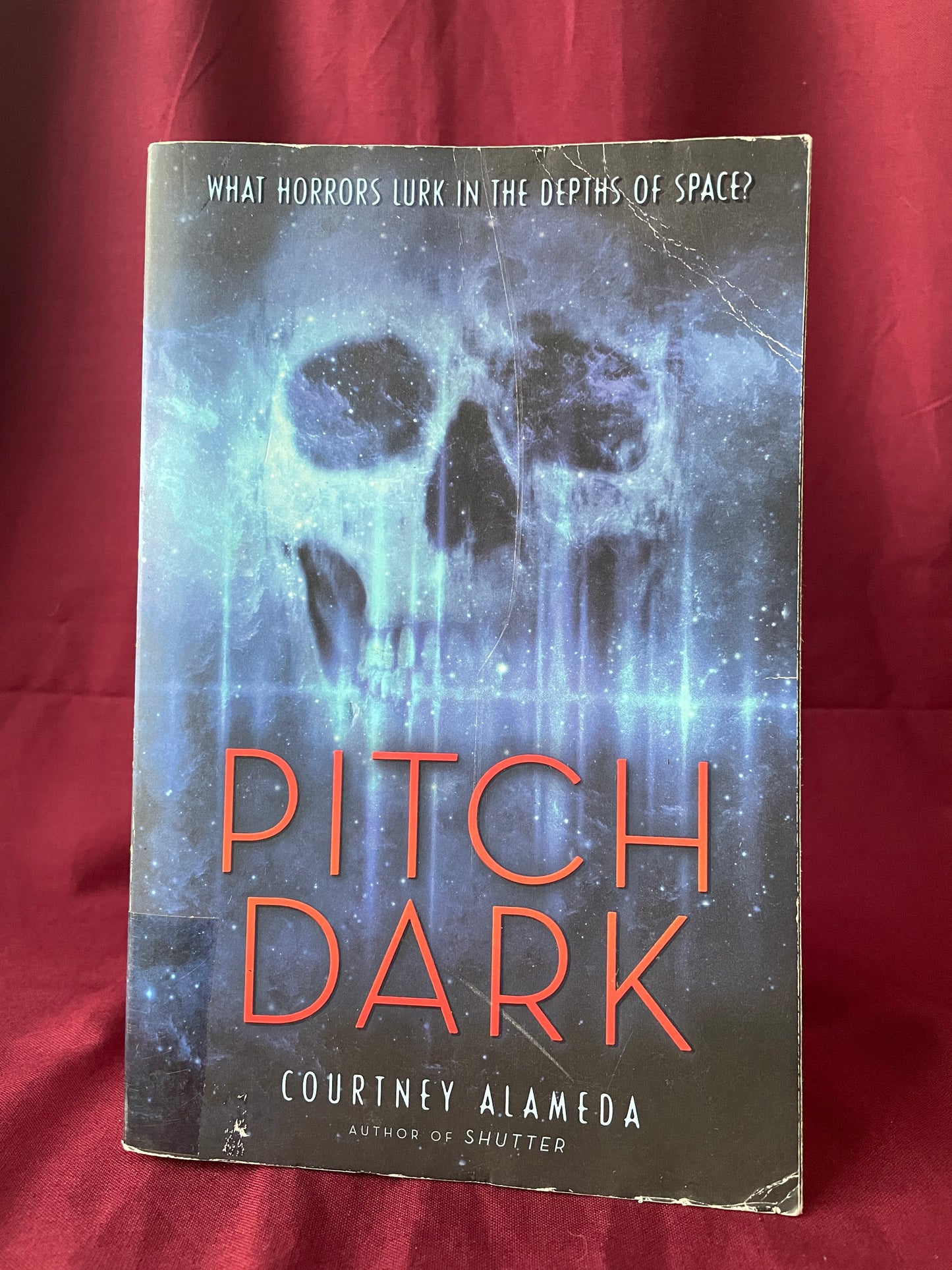 Pitch Dark (Paperback)