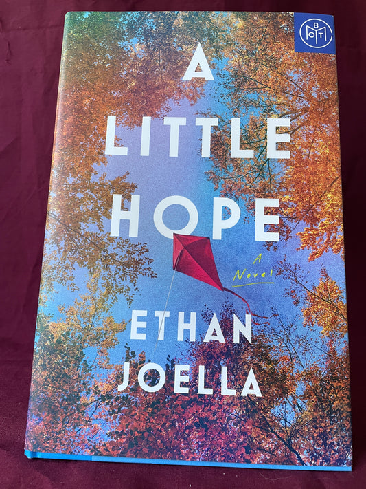 A Little Hope (Hardcover)