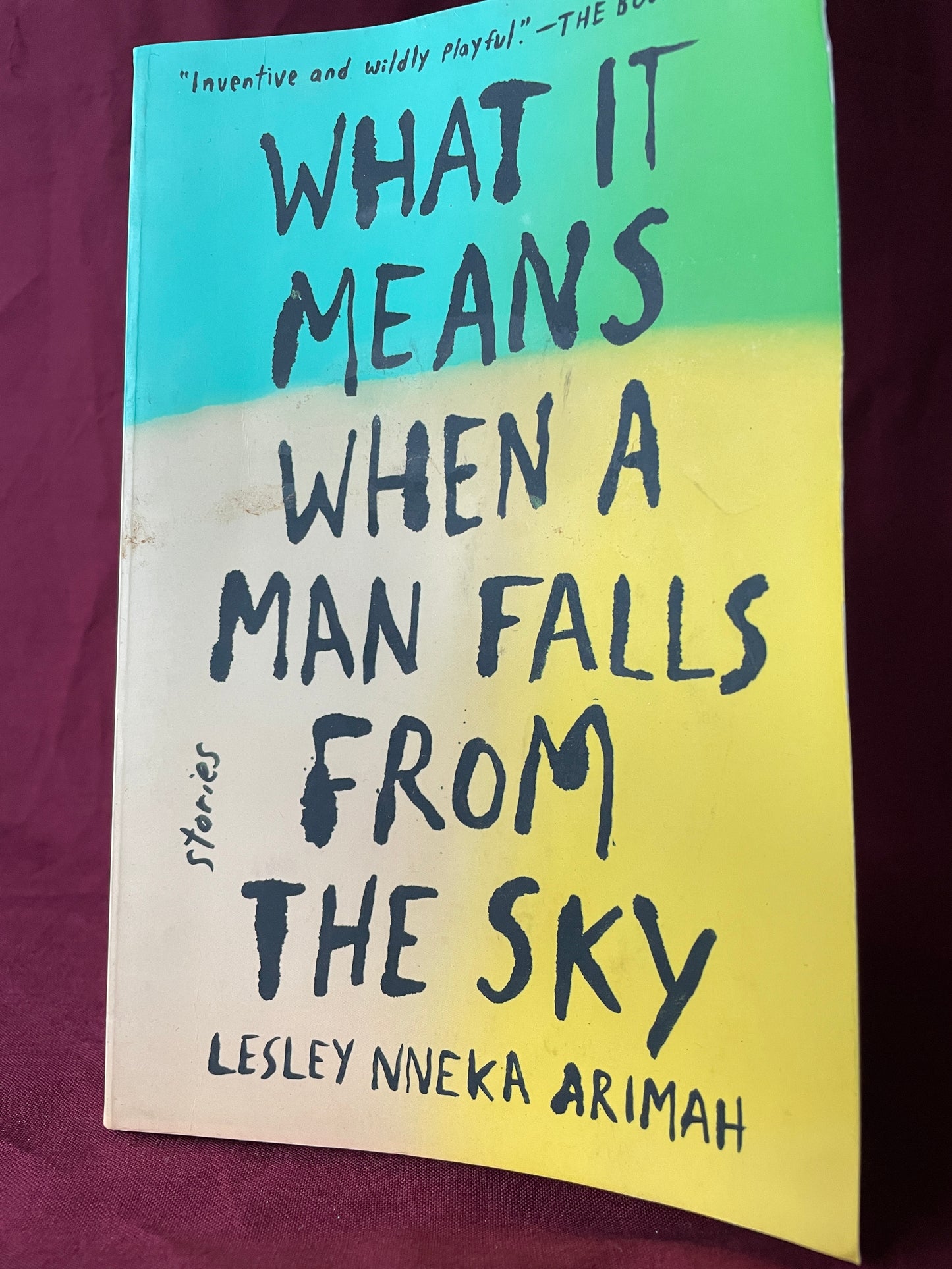 What It Means When A Man Falls From The Sky (Paperback)