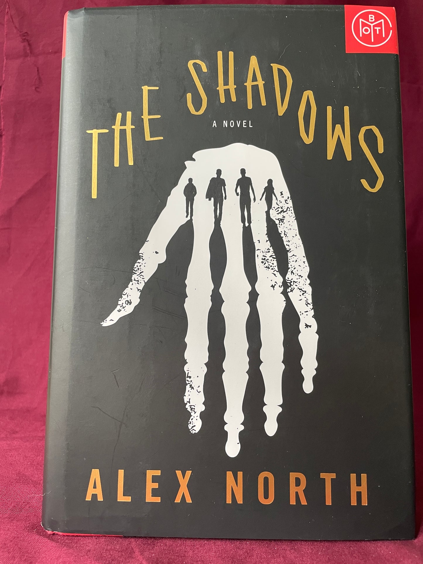 The Shadows (Hardcover)