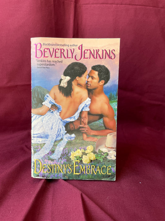 Destiny's Embrace (Paperback)