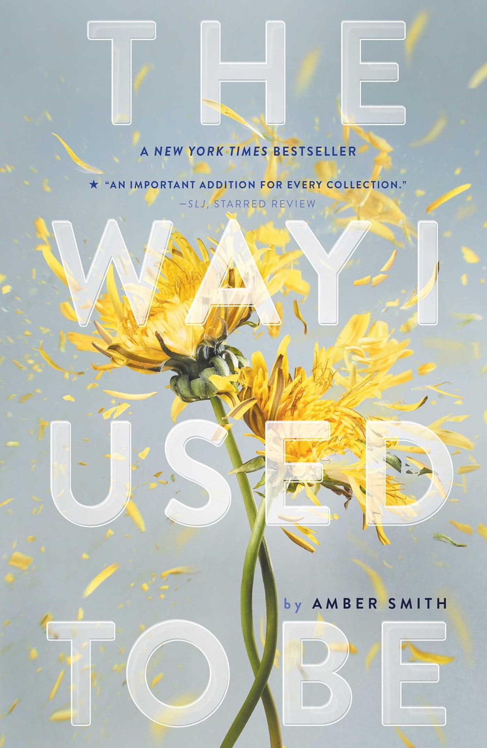 The Way I Used To Be (Paperback)