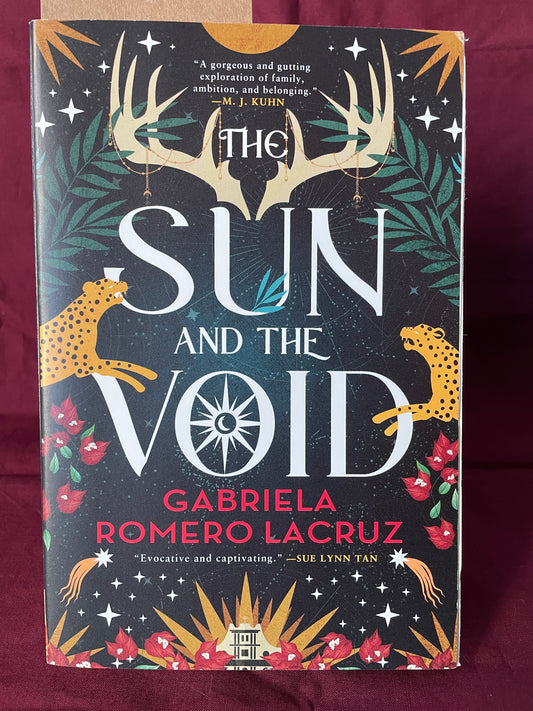 The Sun and the Void (Paperback)