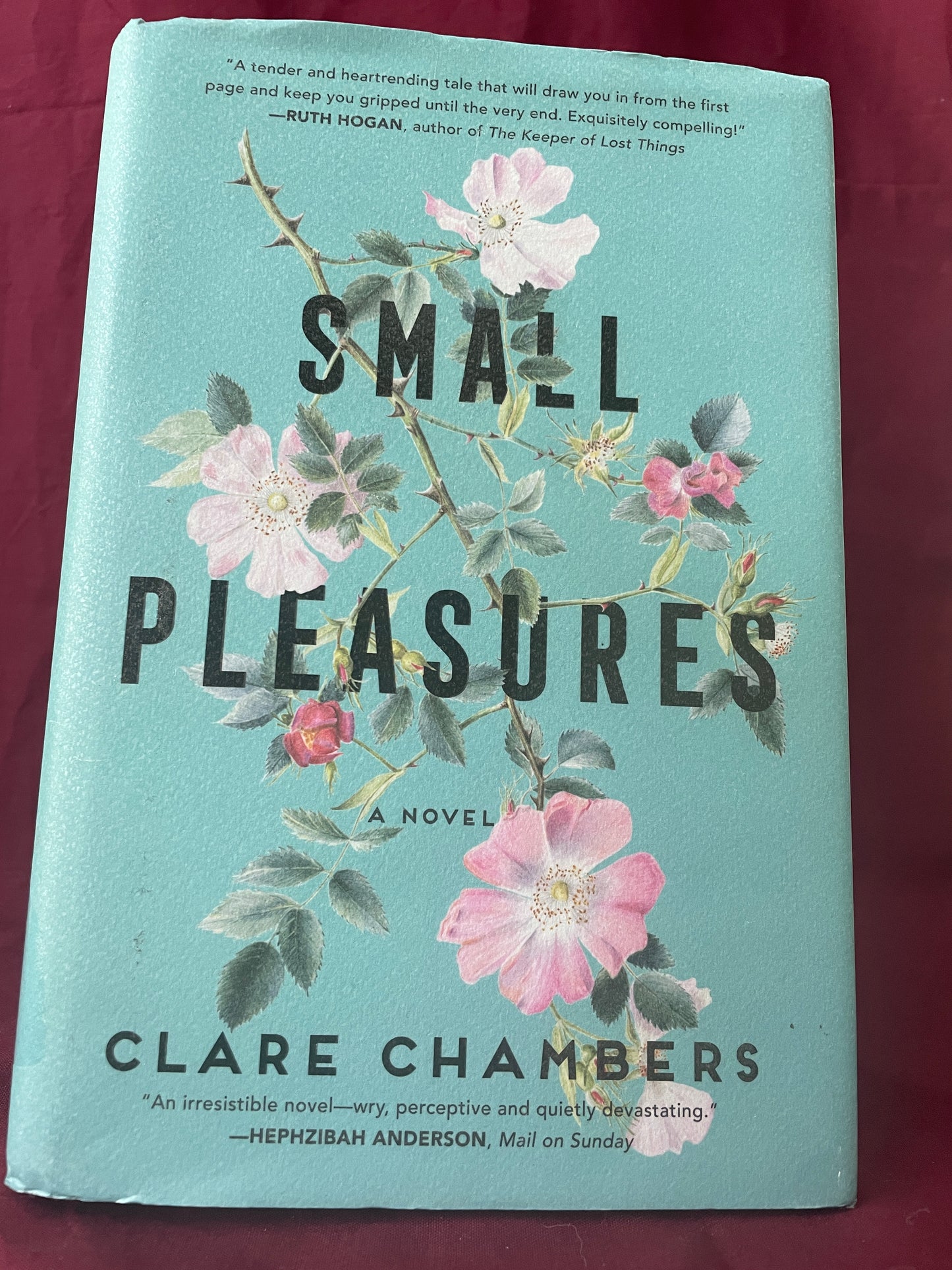 Small Pleasures (Paperback)