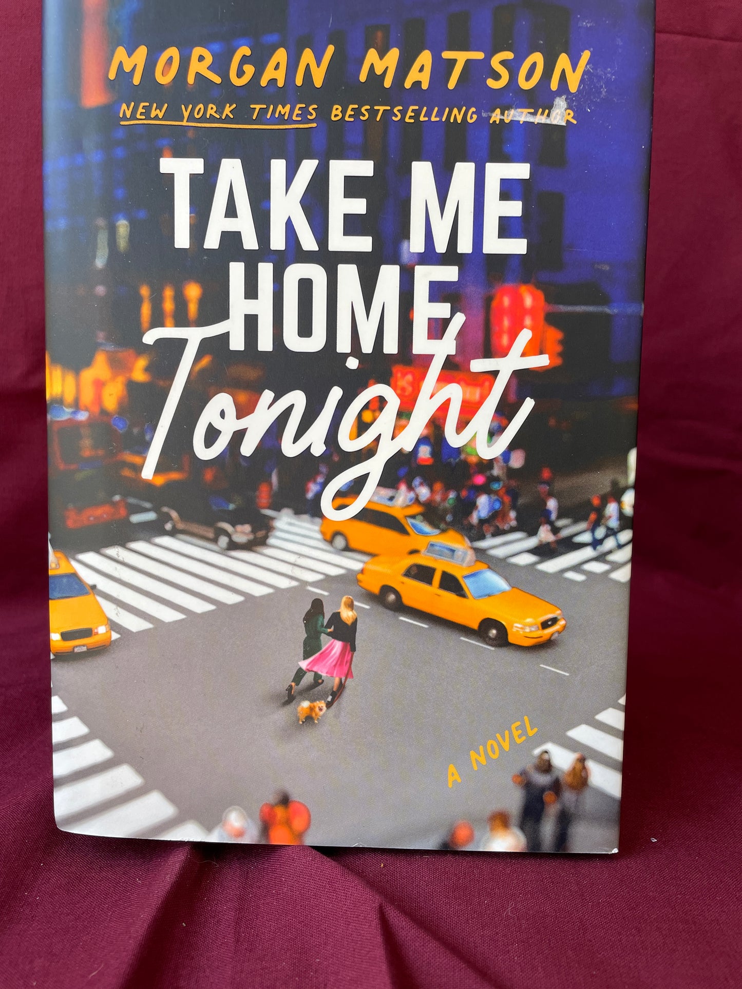 Take Me Home Tonight (Hardcover)