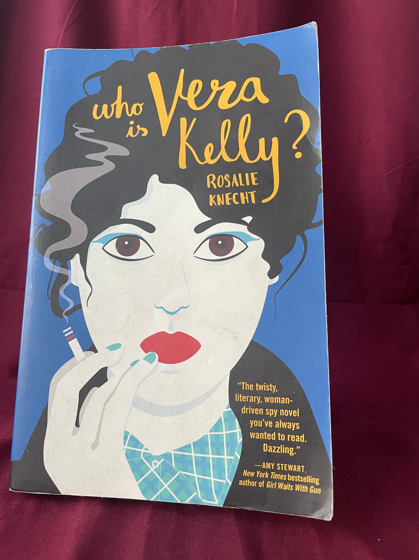 Who Is Vera Kelly? (Paperback)