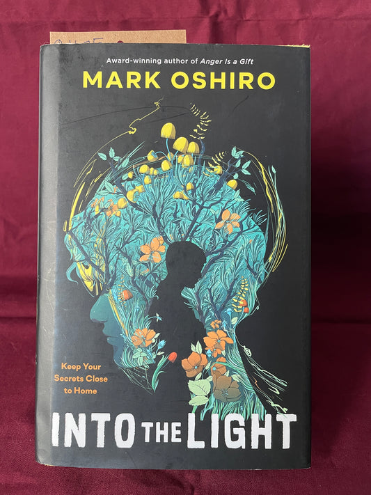 Into the Light (Hardcover)