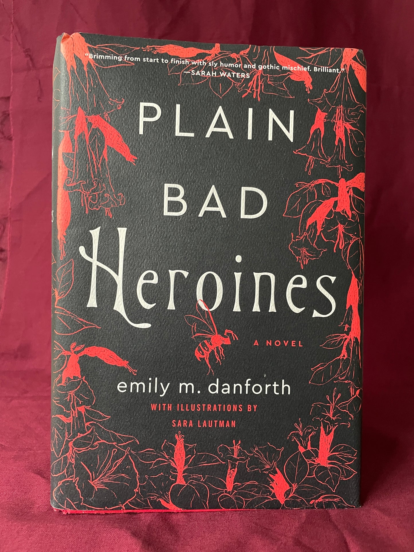 Plain Bad Heroines (Hardcover)