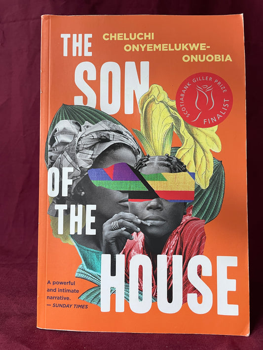 The Son of the House (Paperback)