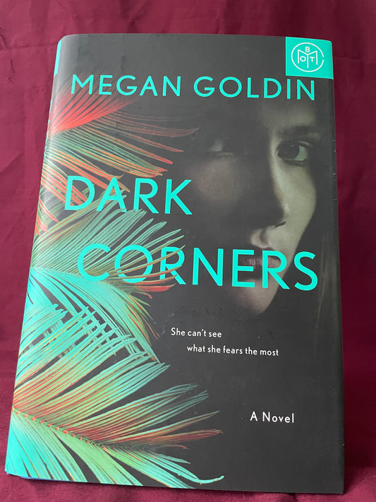 Dark Corners (Hardcover)