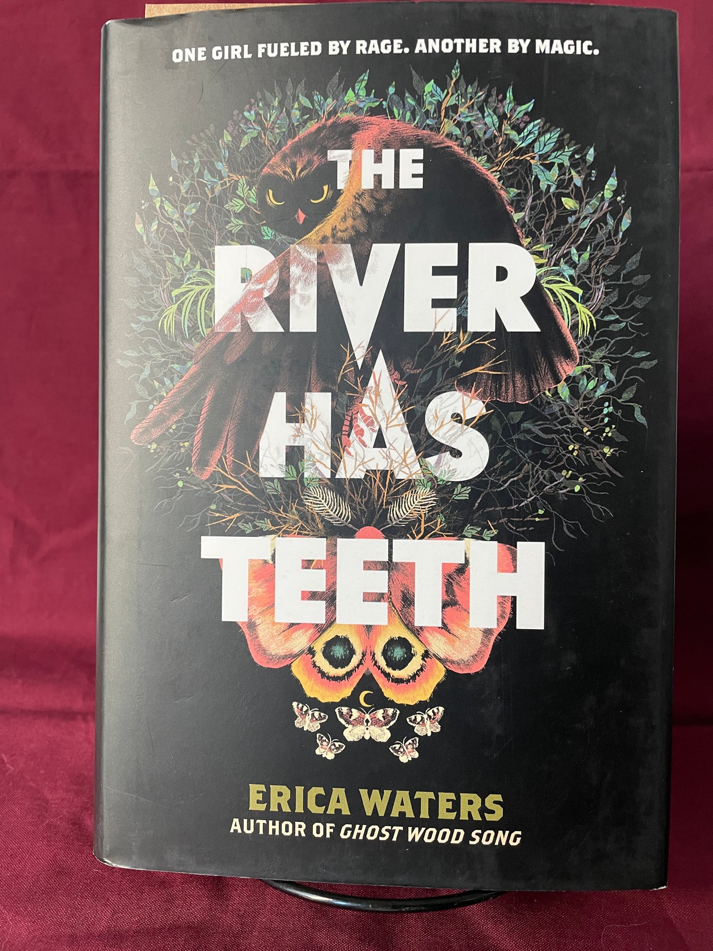 The River Has Teeth (Hardcover)