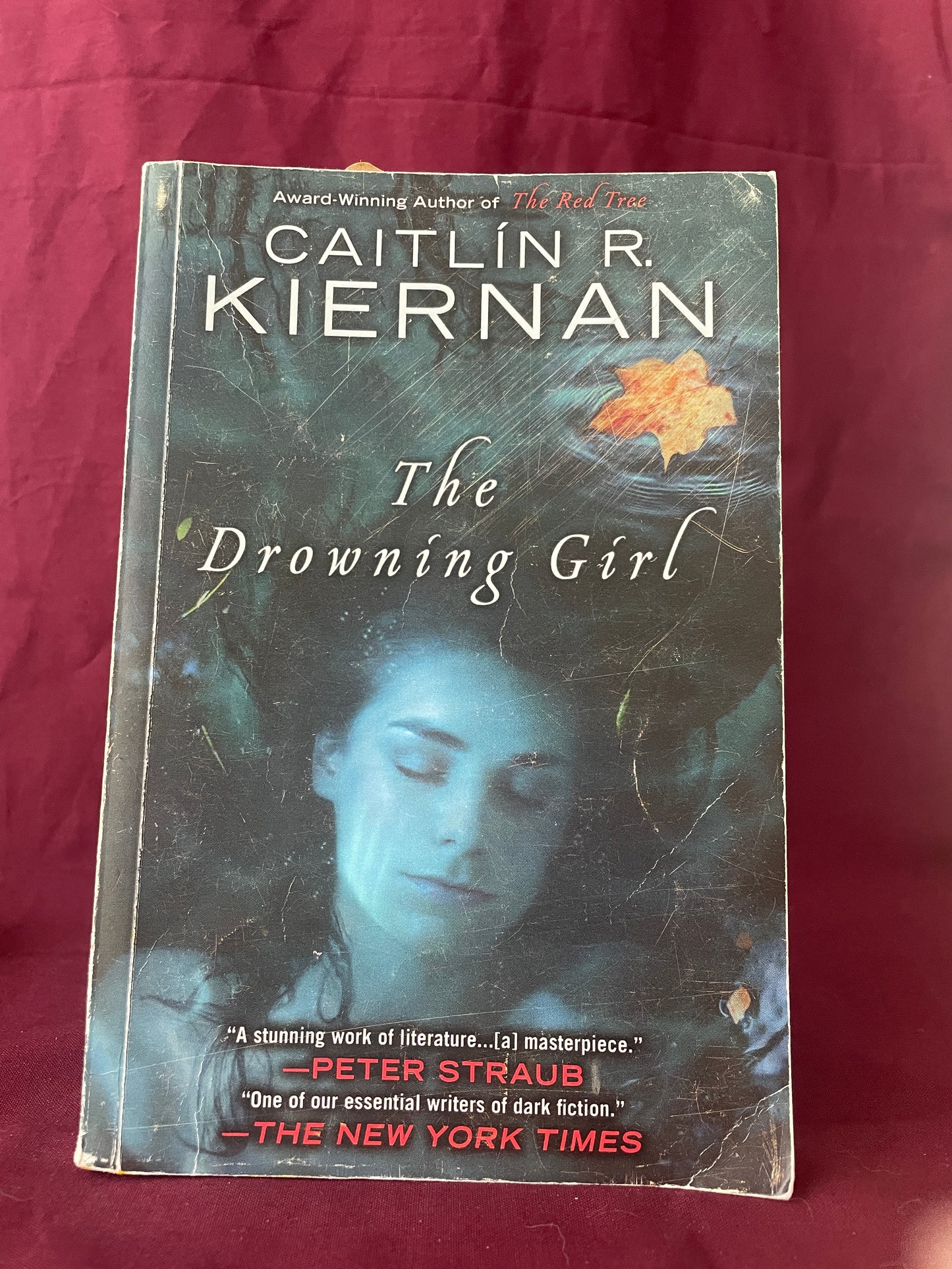 The Drowning Girl (Paperback)