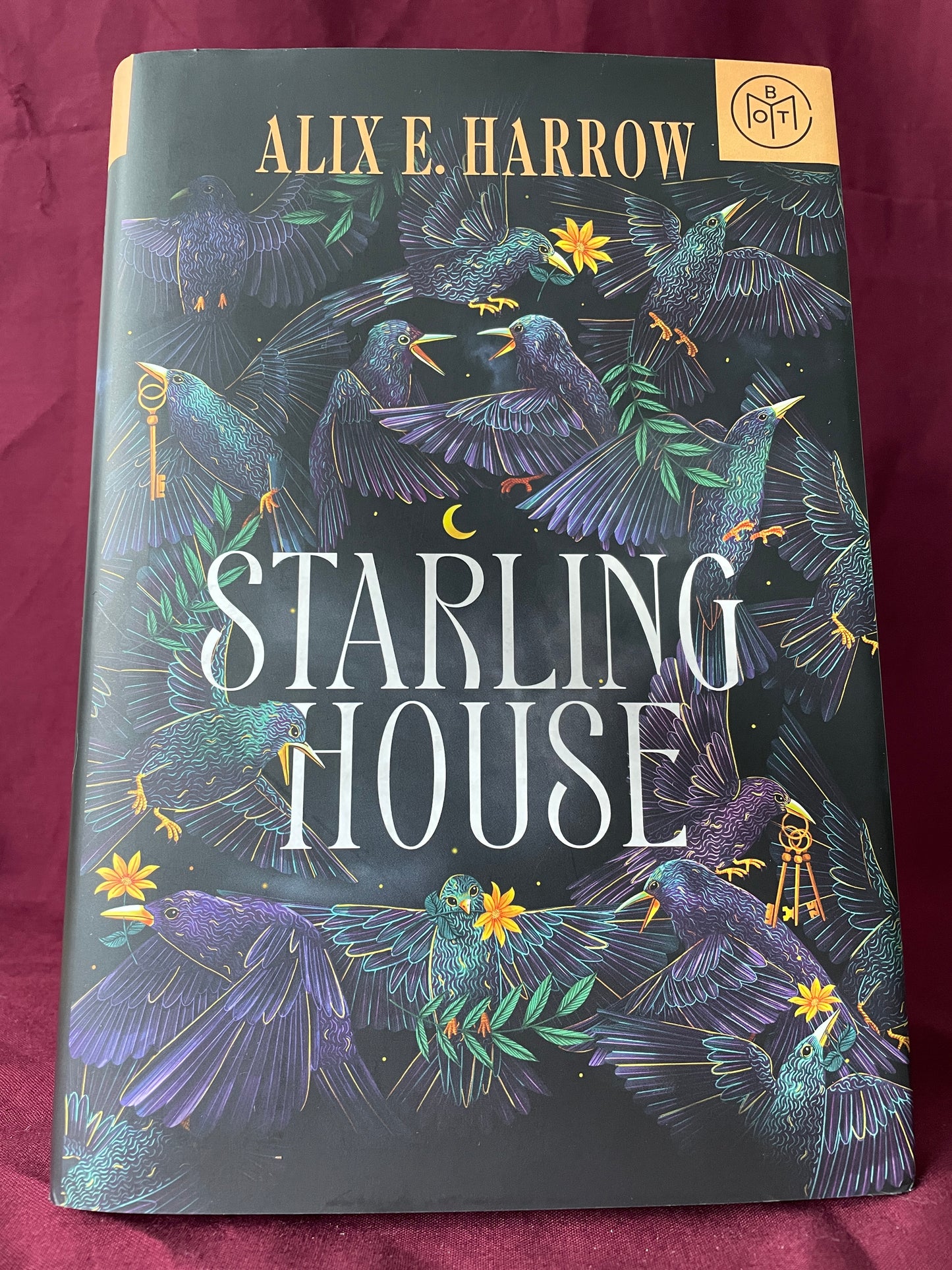 Starling House (Paperback)