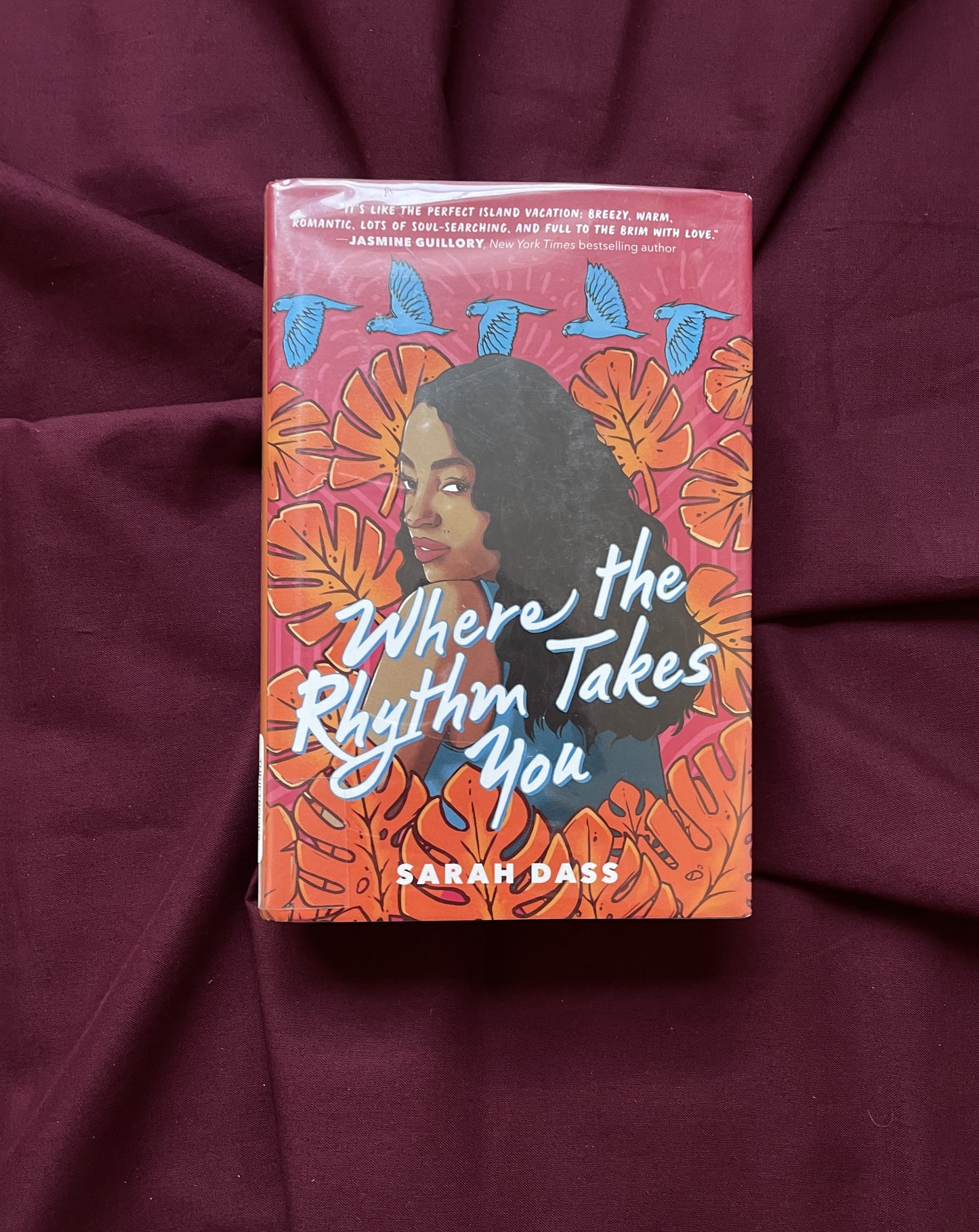 Where the Rhythm Takes You (Hardcover)