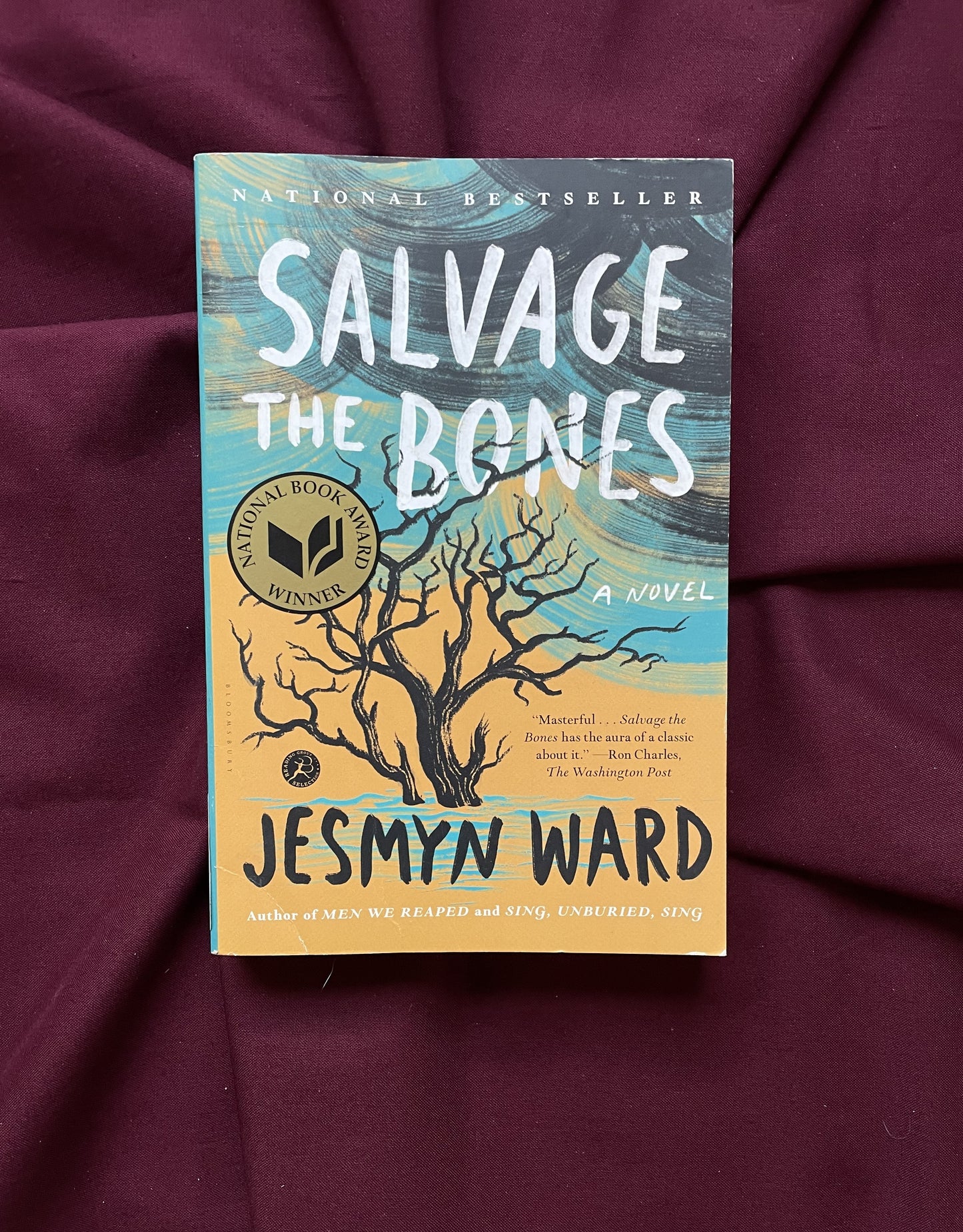 Salvage the Bones (Paperback)