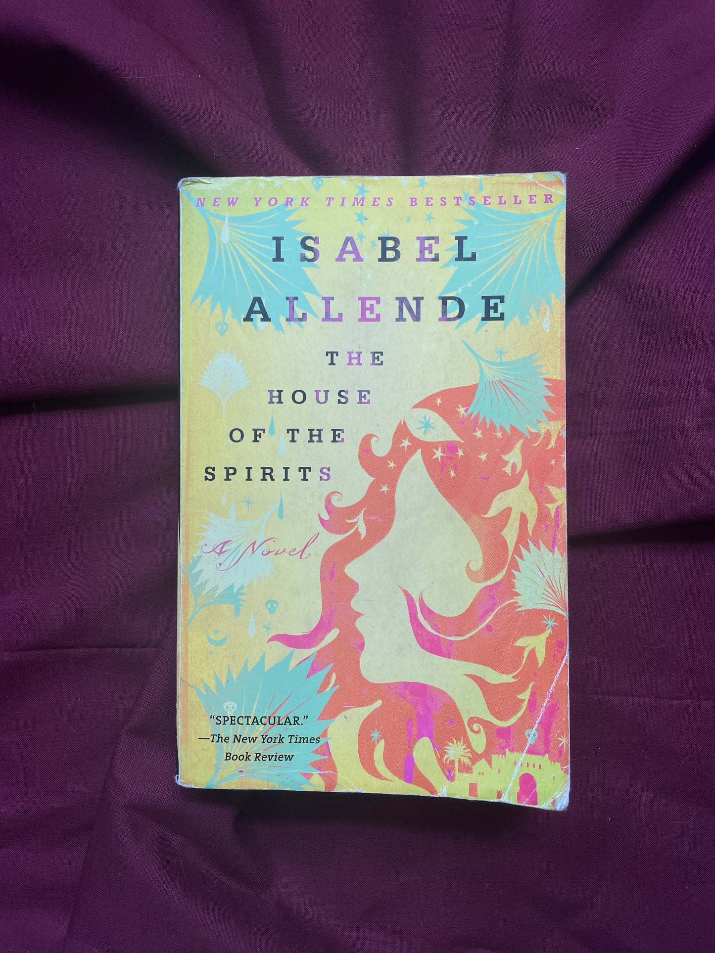 The House of the Spirits (Paperback)